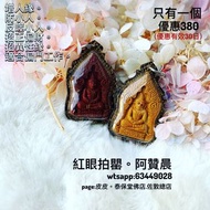 紅眼拍罌