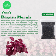 ( 100 Gram ) Benih Biji Bayam Merah | Bayam Cina | Red Amaranth