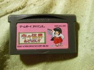 GBA Nintendo GAME BOY Advance 卡帶 日文版 奇奇怪界 奇々怪界あどばんす