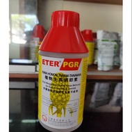 Eter PGR Hormon Nenas🍍🍍🍍500ML