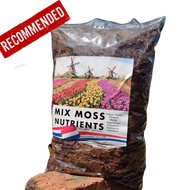 1KG Mix Moss Nutrients / Media Tanaman Terbaik Untuk Pokok Caladium , Alocasia , Indoor Plant