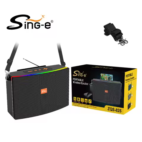 ZQS 825 Portable Bluetooth Speaker V5.3 30W BT/USB/TF/MIC/FM/DC Charging Dock/TYPE C Charging Port F