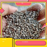 pupuk TSP SP36 Grosir Pupuk TSP - SP36 Pupuk Sp-36 /Super-Phospat 36% 500GR