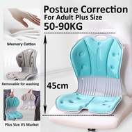Posture Correction Chair | Ergonomic Back Support For Chair  | Lumbar Support | Adult