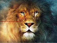 3D Lion cross stitch kit dmc embroidery needlework patterns cross stitch manualidades 0156R - Round