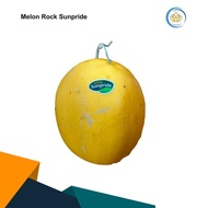 Melon Golden Sunpride Warna Kuning