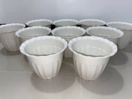 10 pieces BIG paso 9x7"- 10 white pots for plants for PHP300 - round pots / indoor &amp; outdoor 30 pesos