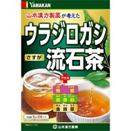 【山本漢方】ウラジロガシ流石茶　5g×24包入【ウラジロガシ】【熊柳】