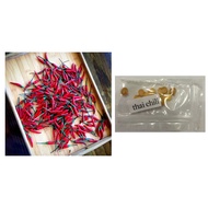 Sili labuyo bird's eye chili seeds