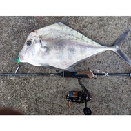 Omicron Jig Bilis | UL | Landbase