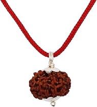 Green Velly 8 Mukhi Rudraksha Original Certified Mantra Siddha Eight Face Rudraksh Indonesian with Lab Report