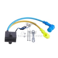 80cc 66cc 100CC Ignition CDI for PK80 LD80 LD90 Gasoline Moped