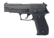 WEN - Para Bellum P226 鋼製瓦斯手槍 免運費