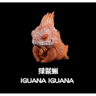 Museum Lizard Kingdom Iguana Lizard Model Figure Komodo Rhinoceros Sea Iguana Green Iguana