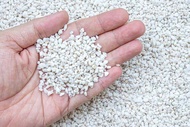 Perlite untuk incubator / media tetas reptile 100gram