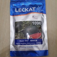 Leckat 1096 seedless watermelon 100gm