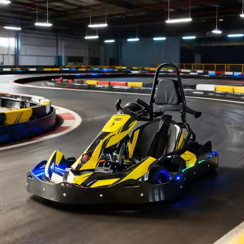Teenager & Adult Electric Go Kart, 36V 1000W Single-Seat Drift Car with Adjustable Speed, Circuit Ra