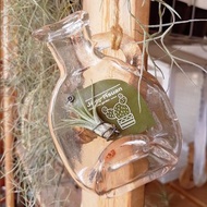 瓶中精靈 玻璃吊盆(Hanging pot of genie in a bottle)