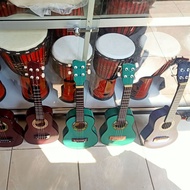 ukulele profesional concert promo