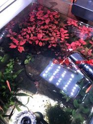 快速出貨尼奧新款中小缸RGB水草缸魚缸燈增色水草燈LED全光譜小缸造景夾燈