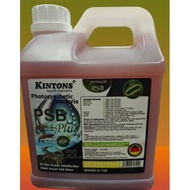 Kintons Psb+plus 2Litres