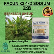 1KG K2 4-D Sodium/RACUN POKOK PISANG LIAR / RACUN BULUH/RUMPUT KERBAU PAIT CEROMA/Serbuk Campuran/so