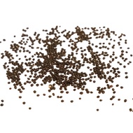 Seed: Italian Basil (1g)