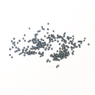 Seed: Dwarf Pak Choy (1g)