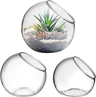 POPETPOP Plant Terrarium Glass Air Plant Holder: 3Pcs Tabletop Succulent Air Plant Planter Glass Suc