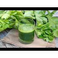 2gr CELERY SEEDS - Vegetables and fruits grown in gardens, terraces, farmers, balconies