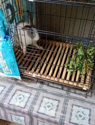 Termurah Alas Kandang kelinci kucing bambu