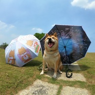 柴犬大學 - 柴老大Shibaniki 雙面反向傘 自動折疊傘晴雨傘
