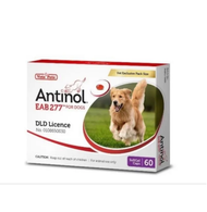 จัดส่งในวันเดียวกัน Antinol DOG ช่วยบำรุงข้อ กระดูก ขน ผิวหนัง และไต(1 กล่อง 60 caps) สำหรับสัตว์เลี้ยง EXP.10/2025