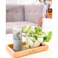 Viya Travel Diffuser Young Living + Stress away 15ml