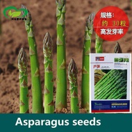 30 pcs/bag asparagus organic vegetable green and white asparagus bonsai vegetable home garden plant decoration