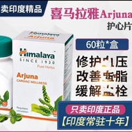 India Arjuna Himalaya Heart Protection Sheet Ajiang Terminalin Essence Original Genuine Ready Stock 