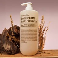 [ Healing Bird ] Beer PDRN Anti-Hair‑Loss Shampoo (1000 ml)