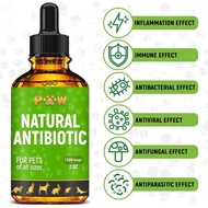 Dog Antibiotics for Infection, Coughs, UTIs, Allergies, Itching |   Natural Antibiotics for Cats to 