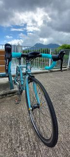 Bianchi 24 Jounior 中童公路車