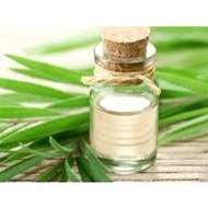 KAYU PUTIH [5Kg] Eucalyptus Oil Ready To Process | Oem Own Brand - Suitable For Mild Body Pain