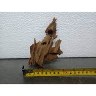 [QQ PET SHOP] DRIFTWOOD S FOR AQUARIUM, AQUASCAPE / KAYU UNTUK AQUARIUM, AQUASCAPE (15CM - 23CM) PART 3