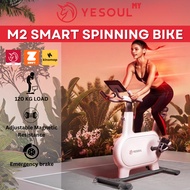 Yesoul Xiaomi Smart Exercise Spinning Bike M2