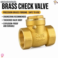 HGOUGV656Z6 Non-Return Valve, 1/2" 3/4" 1" 1-1/4" 1-1/2" 2" Female Thread Swing Check Valve, Durable