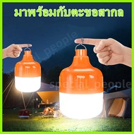 Large Light Bulb Portable 30W 100W 150W (Rechargeable)