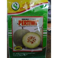 Benih Melon Pertiwi Anvi 15gr || Bibit Hibrida Tahan Virus