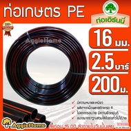 เอิร์นนี่ ท่อเกษตร PE LDPE 16มิล 2.5บาร์ 3หุน 200เมตร (คาดส้ม) ท่อพีอี PE PIPE LDPE ทนแรงดัน 2.5บาร์ ความแข็งแรง ทนทานการกัดกร่อน ไม่กรอบแตกง่าย ส่ง KERRY