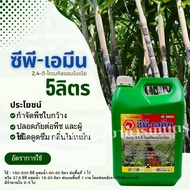 ซีพีเอมีน 2  4-ดี-ไดเมทิลแอมโมเนียม ขนาด 5ลิตร ตราหัวม้า กำจัดวัชพืชใบกว้างและประเภทกก ปลอดภัยไม่เหม