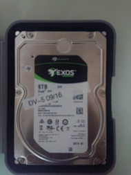Seagate Exos 6TB 硬碟