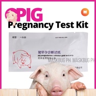 [ MASKBUG ] PIG PREGNANCY TEST KIT | Pig Urine Pregnancy Test | Early Pregnancy Diagnostic Test