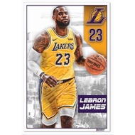 TARPAULIN PRINT LEBRON JAMES POSTER 2X3FT